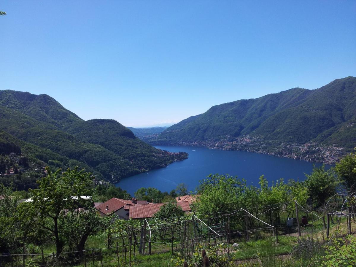 B&B Le Magnolie Faggeto Lario Exterior foto